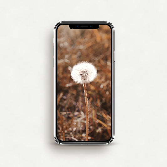 #1019P Dandelion in Meadow Grass - Phone Wallpaper, iPhone Wallpaper, Android Wallpaper, Lock Screen Wallpaper