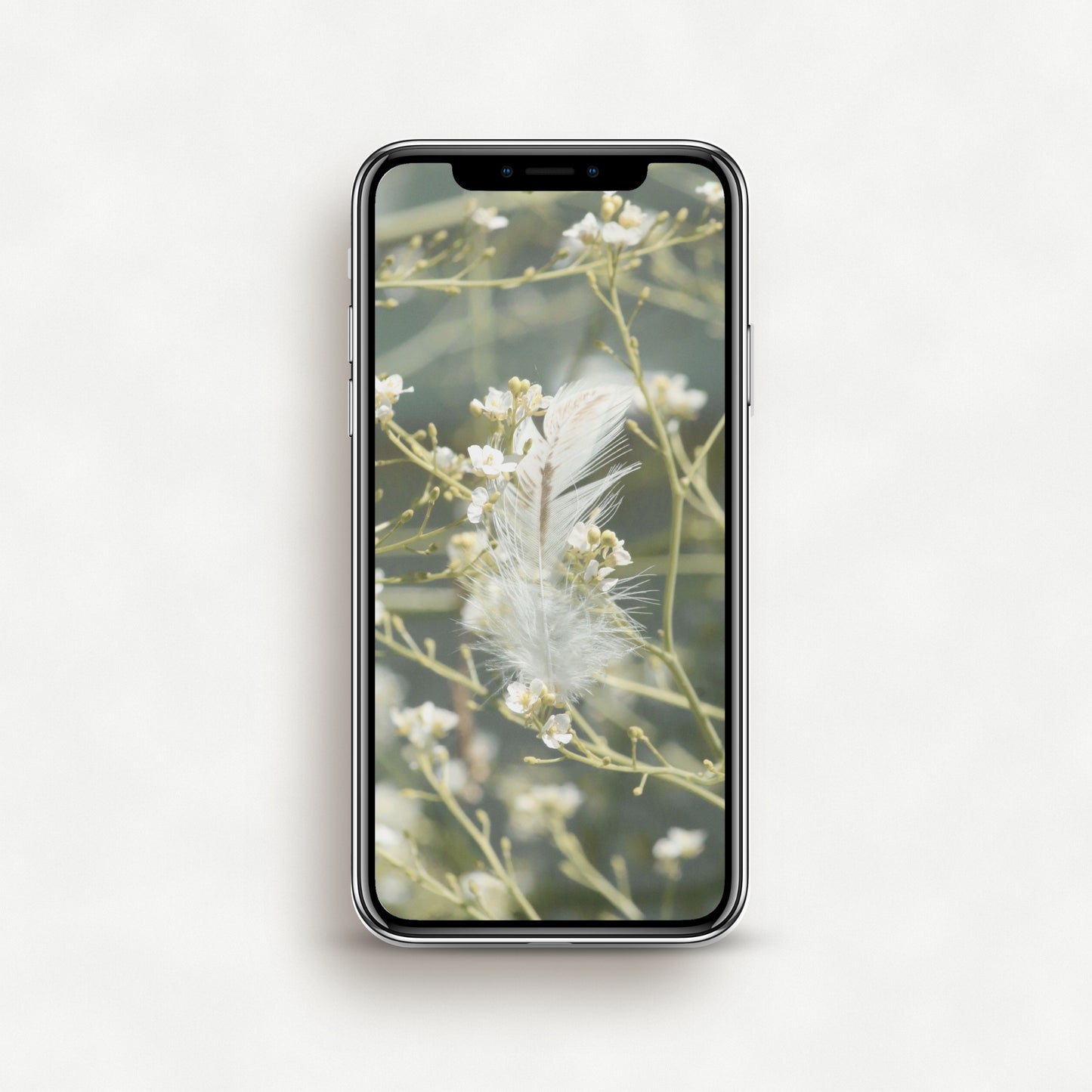 #1030P White Feather in White Flowered Branches - Phone Wallpaper, iPhone Wallpaper, Android Wallpaper, Lock Screen Wallpaper