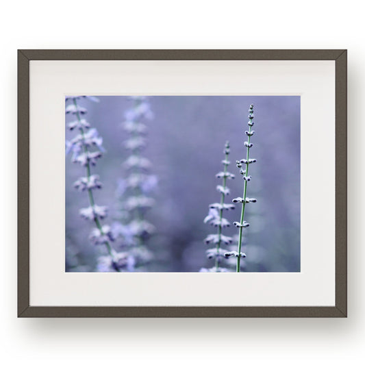 #1039 Violet Blue Sage Spires, Printable Art, Digital Download