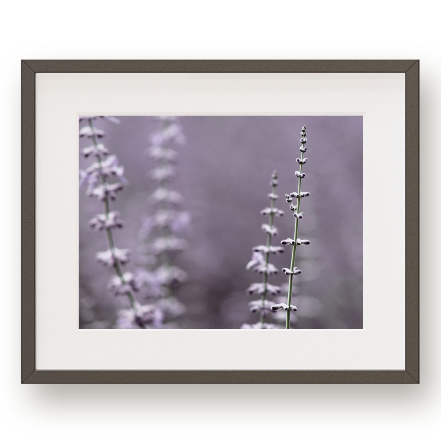 #1042 Purple Sage Spires, Printable Art, Digital Download, Gallery Wall Art