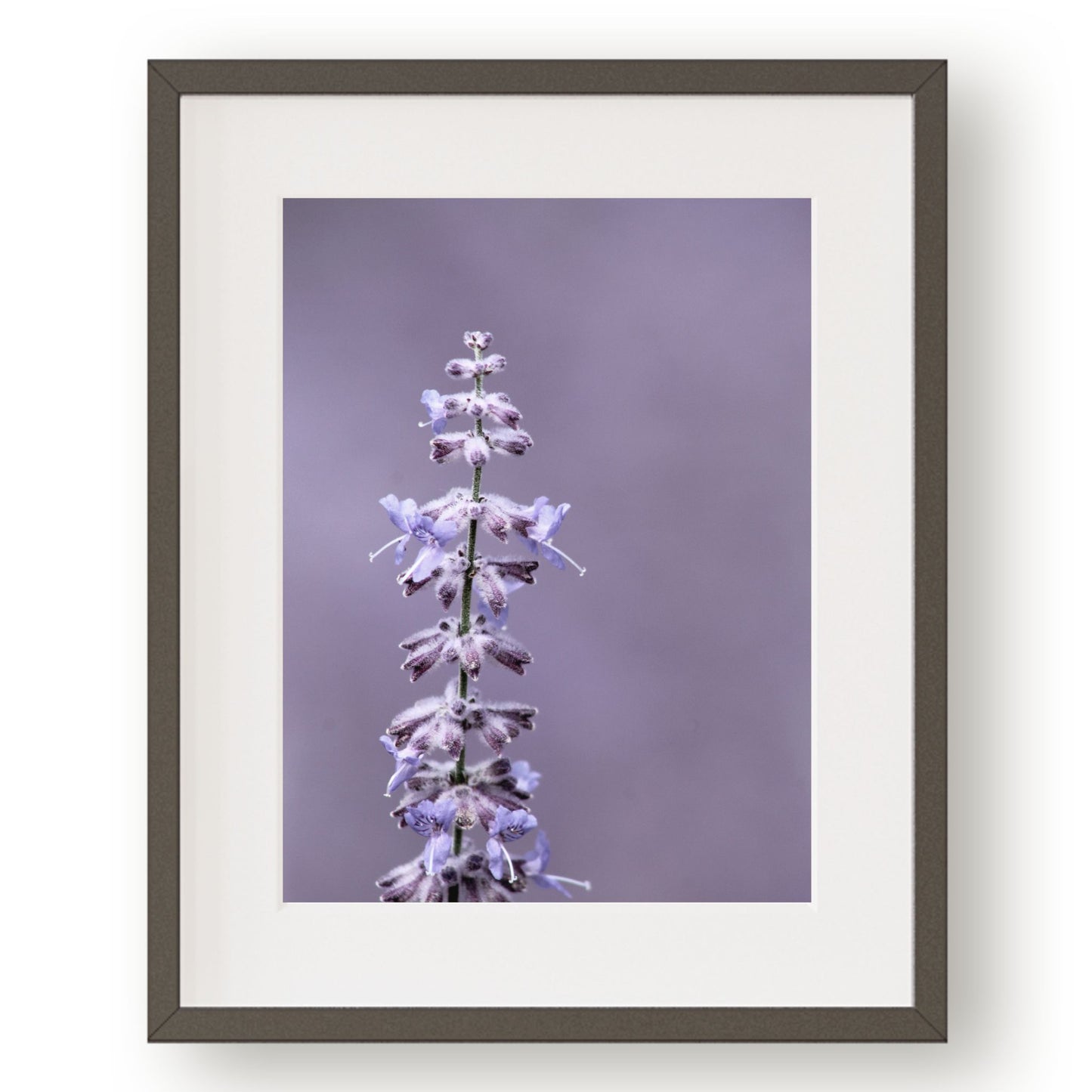 #1043 Purple Sage Spire, Printable Art, Digital Download, Gallery Wall Art