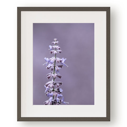 #1043 Purple Sage Spire, Printable Art, Digital Download, Gallery Wall Art