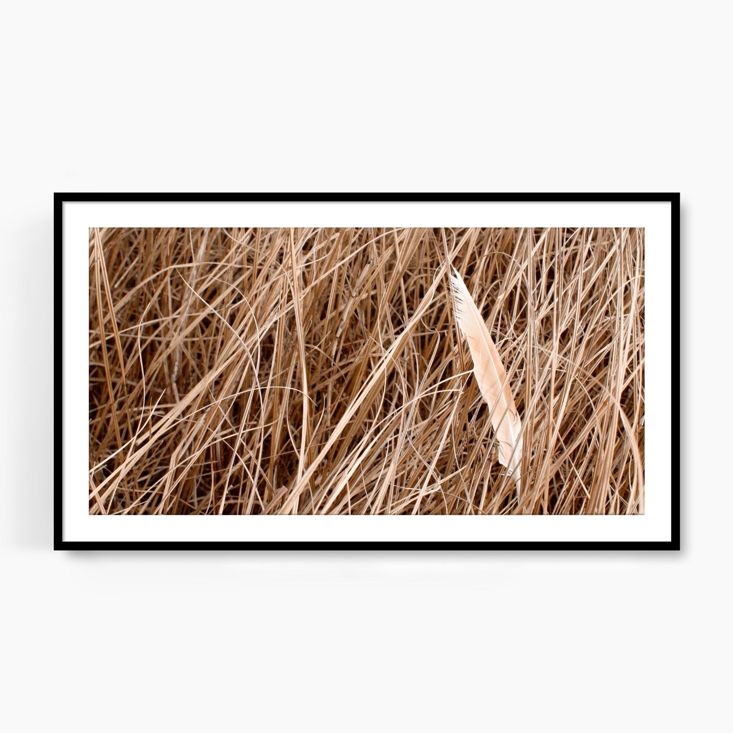 #1058F Orange Feather in Reeds, Samsung Frame TV Art, Digital Wallpaper, Digital Download