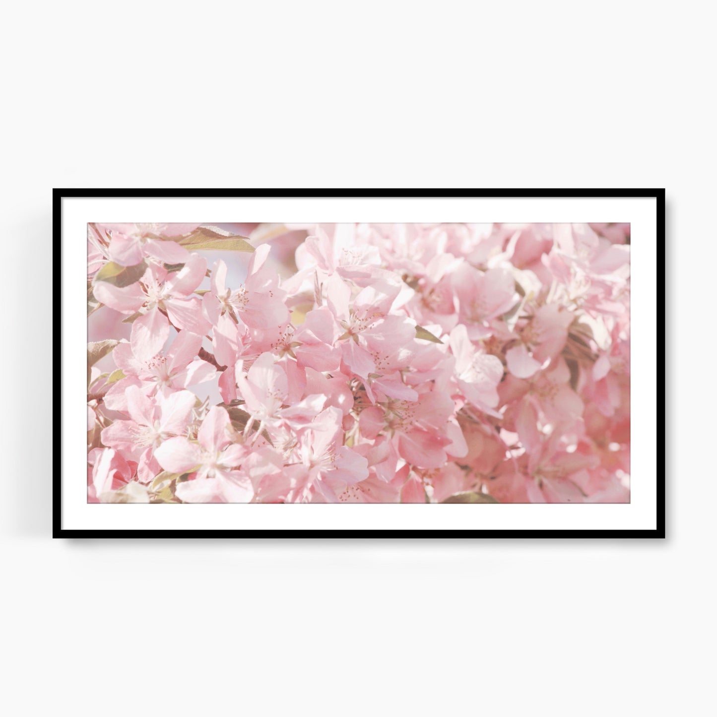 #1075F Pink Apple Blossoms, Samsung Frame TV Art, Digital Wallpaper, Digital Download