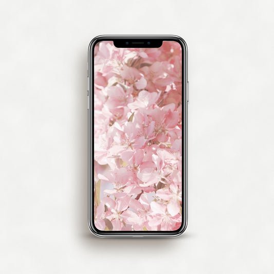 #1075P Pink Apple Blossoms - Phone Wallpaper, iPhone Wallpaper, Android Wallpaper, Lock Screen Wallpaper