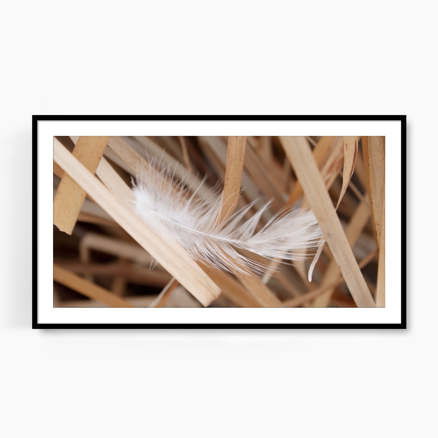 #1097F Feather in Golden Reeds, Samsung Frame TV Art, Digital Wallpaper, Digital Download