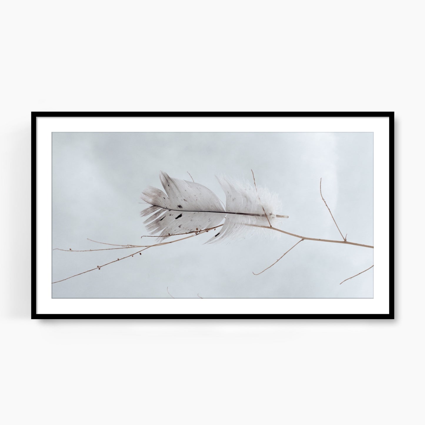 #1114F Gray Feather on Blue Sky, Samsung Frame TV Art, Digital Download, Digital Wallpaper