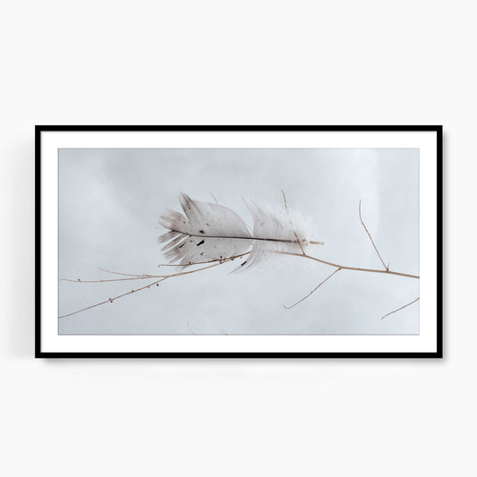 #1114F Gray Feather on Blue Sky, Samsung Frame TV Art, Digital Download, Digital Wallpaper