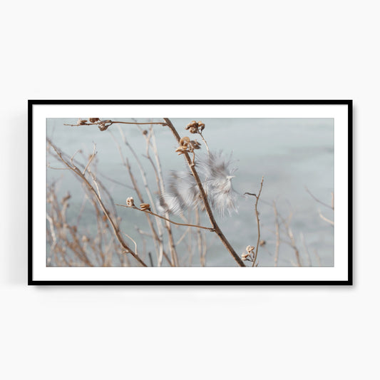 #1115F Striped Feather by Blue Lake, Samsung Frame TV Art, Digital Wallpaper, Digital Download