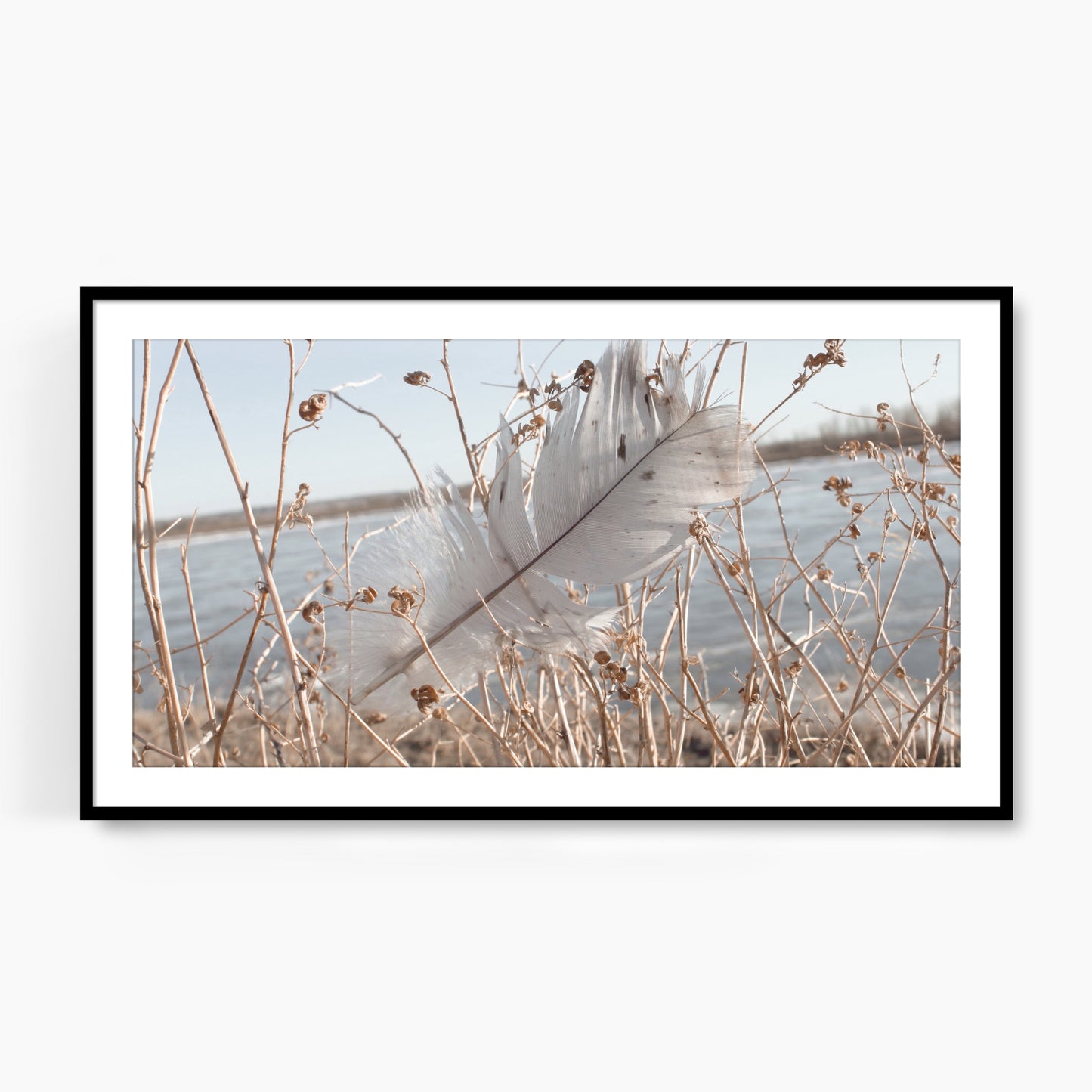 #1116F Gray Feather on Blue Lake, Samsung Frame TV Art, Digital Wallpaper, Digital Download