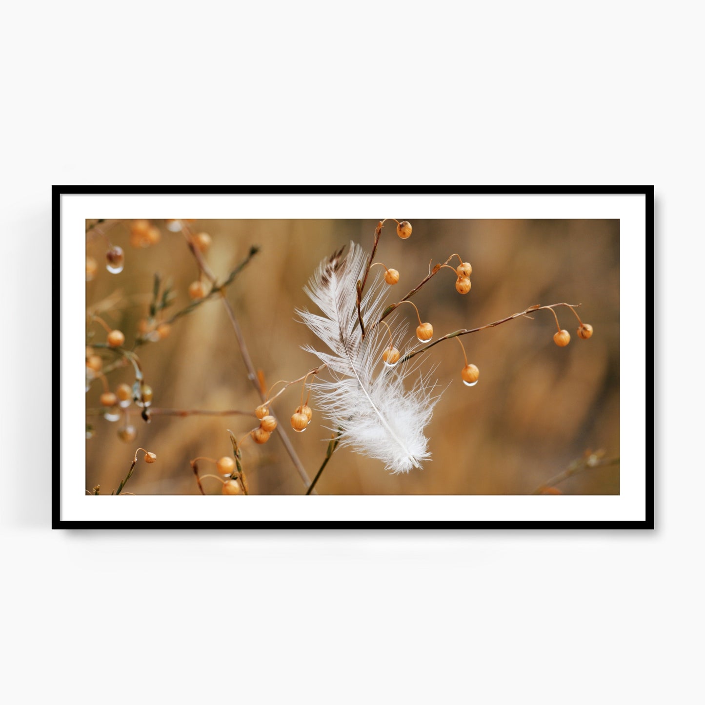 #1120F White Feather on Golden Flax, Samsung Frame TV Art, Digital Wallpaper, Digital Download