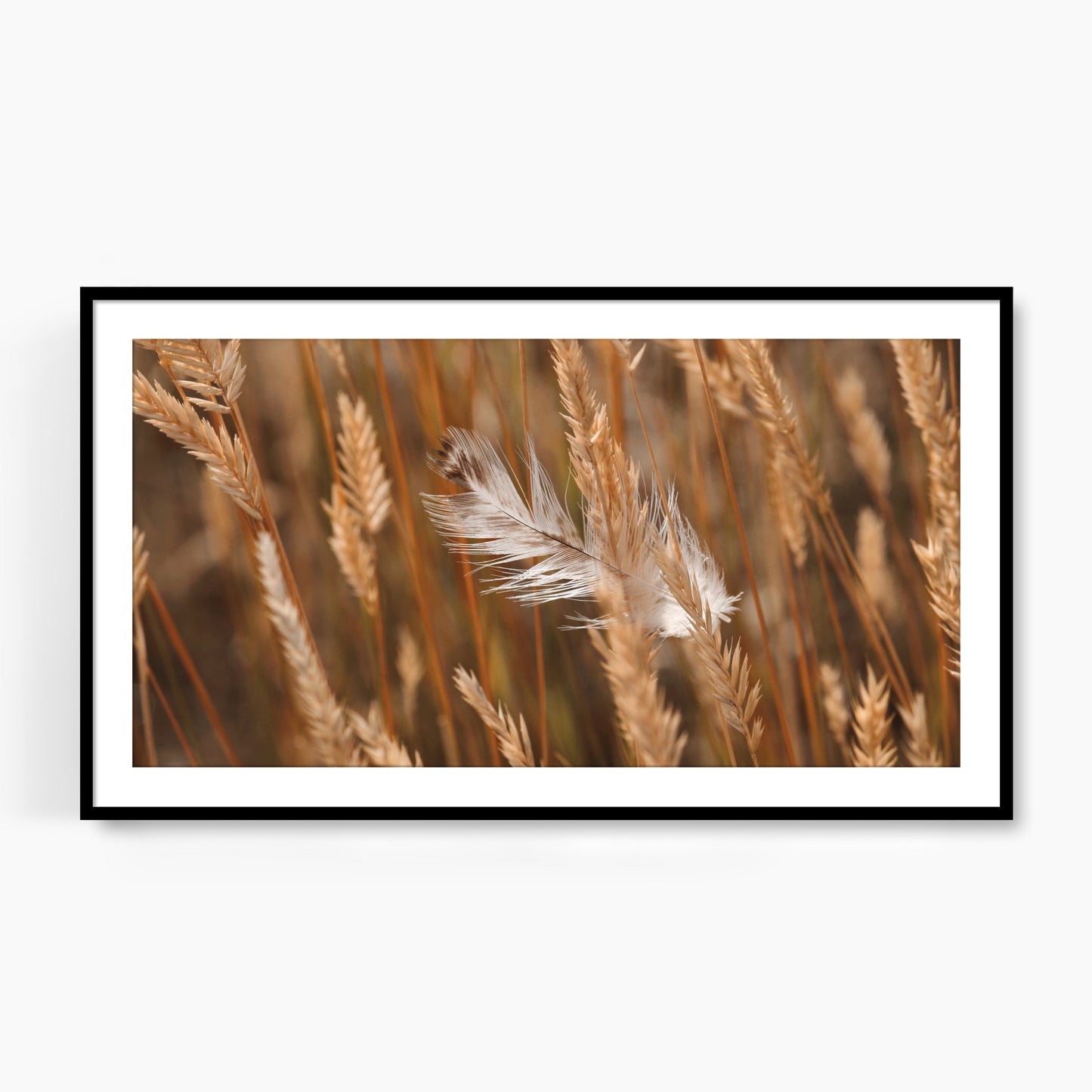 #1125F White Feather in Fall Meadow Grass, Samsung Frame TV Art, Digital Wallpaper, Digital Download