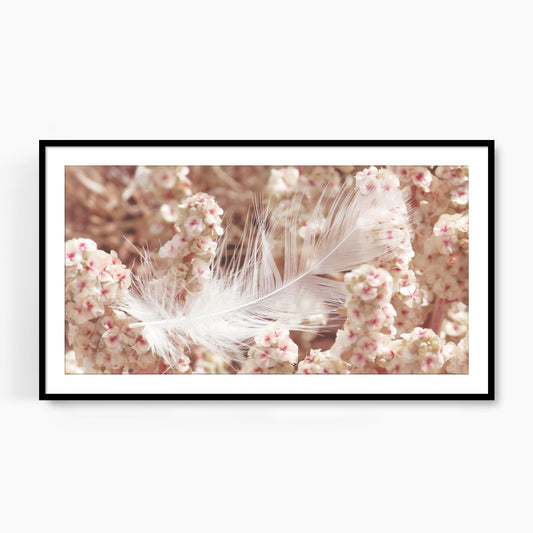 #1151F White Feather in Pink Flowers, Samsung Frame TV Art, Digital Wallpaper, Digital Download