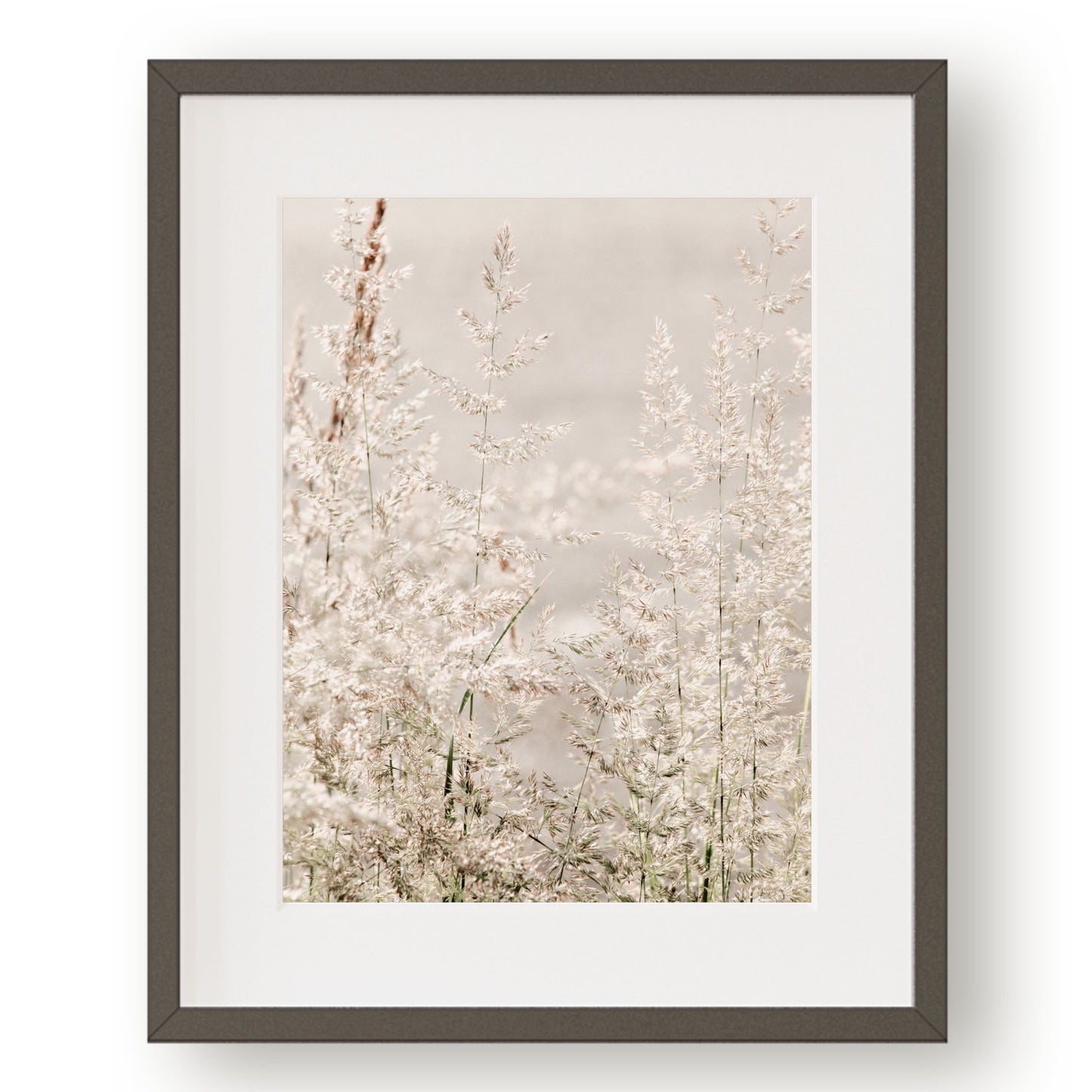 #1169 Airy Grass Plumes, Printable Art, Digital Download, Gallery Wall Art