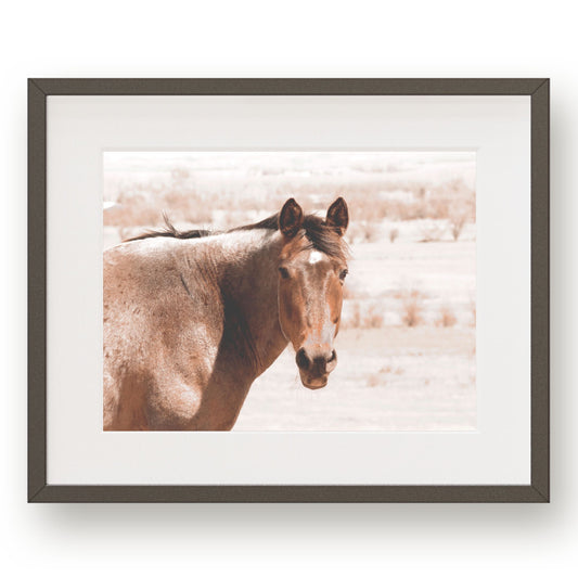 #1192 Chestnut Horse, Printable Art, Digital Download, Gallery Wall Art