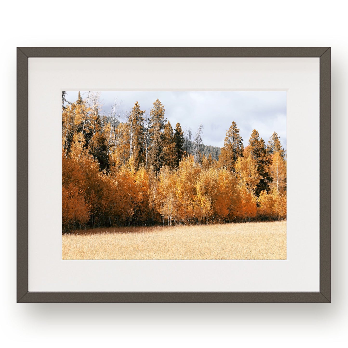 #1207 Golden Tree Line in Fall, Printable Art, Digital Download, Gallery Wall Art