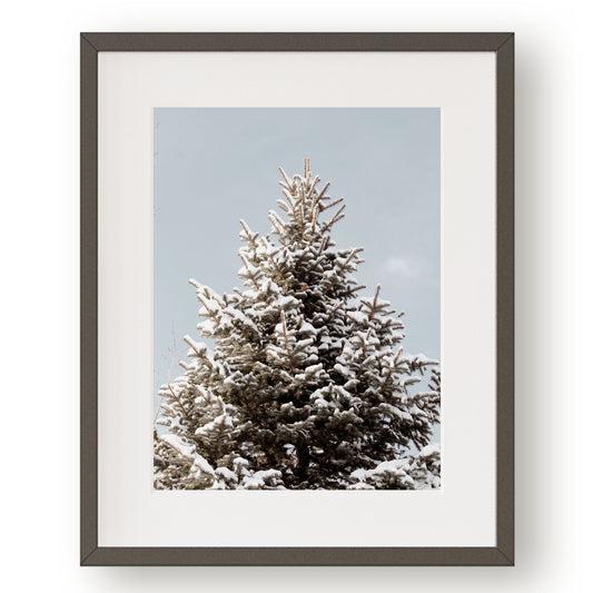 #1209 Snow Covered Pine on Blue Sky, Printable Art, Digital Download, Gallery Wall Art