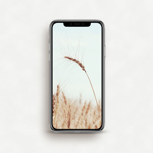 #1223P Golden Wheat Against Blue Sky - Phone Wallpaper, iPhone Wallpaper, Android Wallpaper, Lock Screen Wallpaper