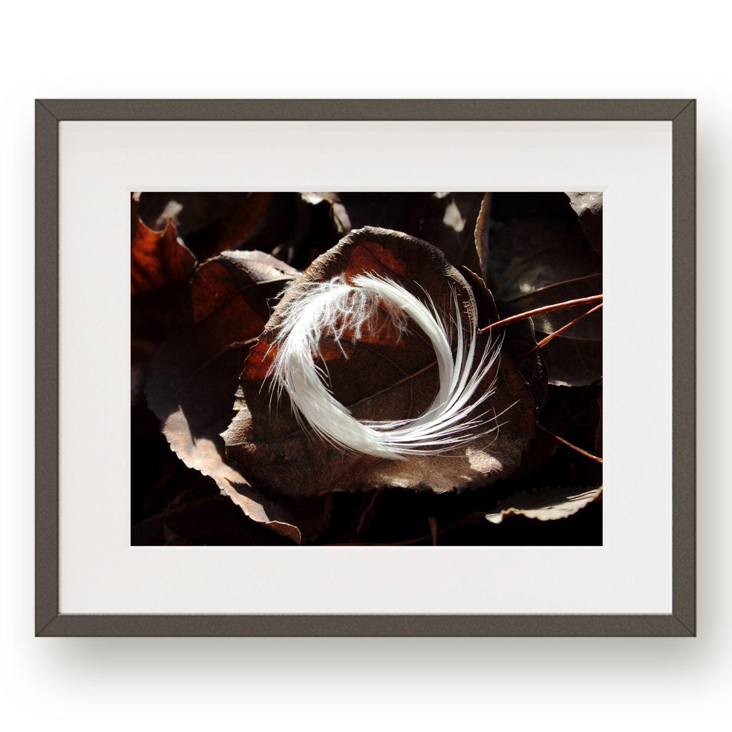 #1228 White Feather Wreath on Dark Leaves, Printable Art, Digital Download, Gallery Wall Art