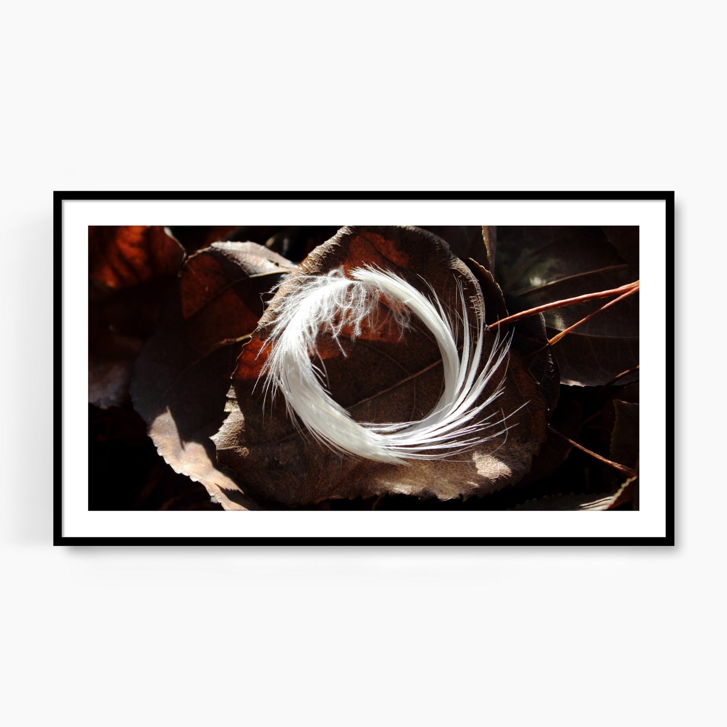 #1228F White Feather Wreath on Dark Leaves, Samsung Frame TV Art, Digital Wallpaper, Digital Download