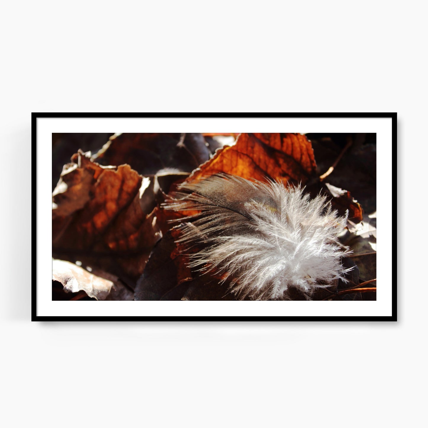 #1229F Gray Feather on Dark Fallen Leaves, Samsung Frame TV Art, Digital Wallpaper, Digital Download