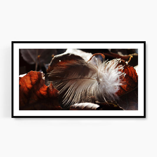 #1231F Gray Feather on Dark Fallen Leaves, Samsung Frame TV Art, Digital Wallpaper, Digital Download