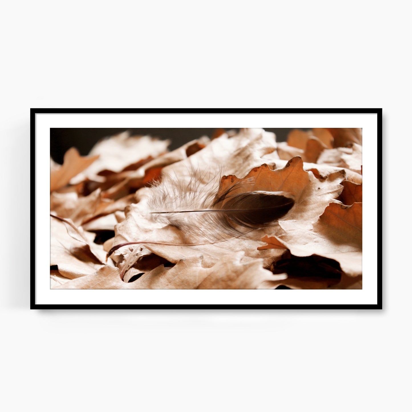 #1240F Black Feather on Fallen Leaves, Samsung Frame TV Art, Digital Wallpaper, Digital Download