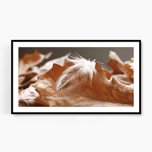 #1241F White Feather in Fallen Leaves, Samsung Frame TV Art, Digital Wallpaper, Digital Download