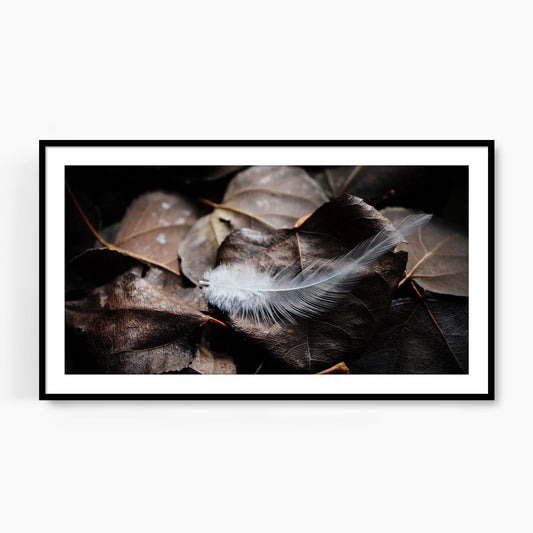 #1250F White Feather on Fallen Leaves, Samsung Frame TV Art, Digital Wallpaper, Digital Download