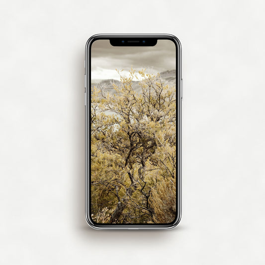 #1262P Green Sagebrush Overlooking Lake - Phone Wallpaper, iPhone Wallpaper, Android Wallpaper, Lock Screen Wallpaper