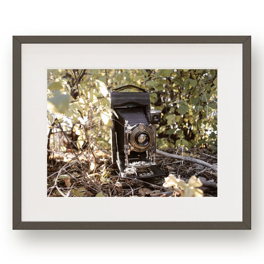 #1267 Grandpa's Vintage Camera in Green Leaves, Printable Art, Digital Download, Gallery Wall Art