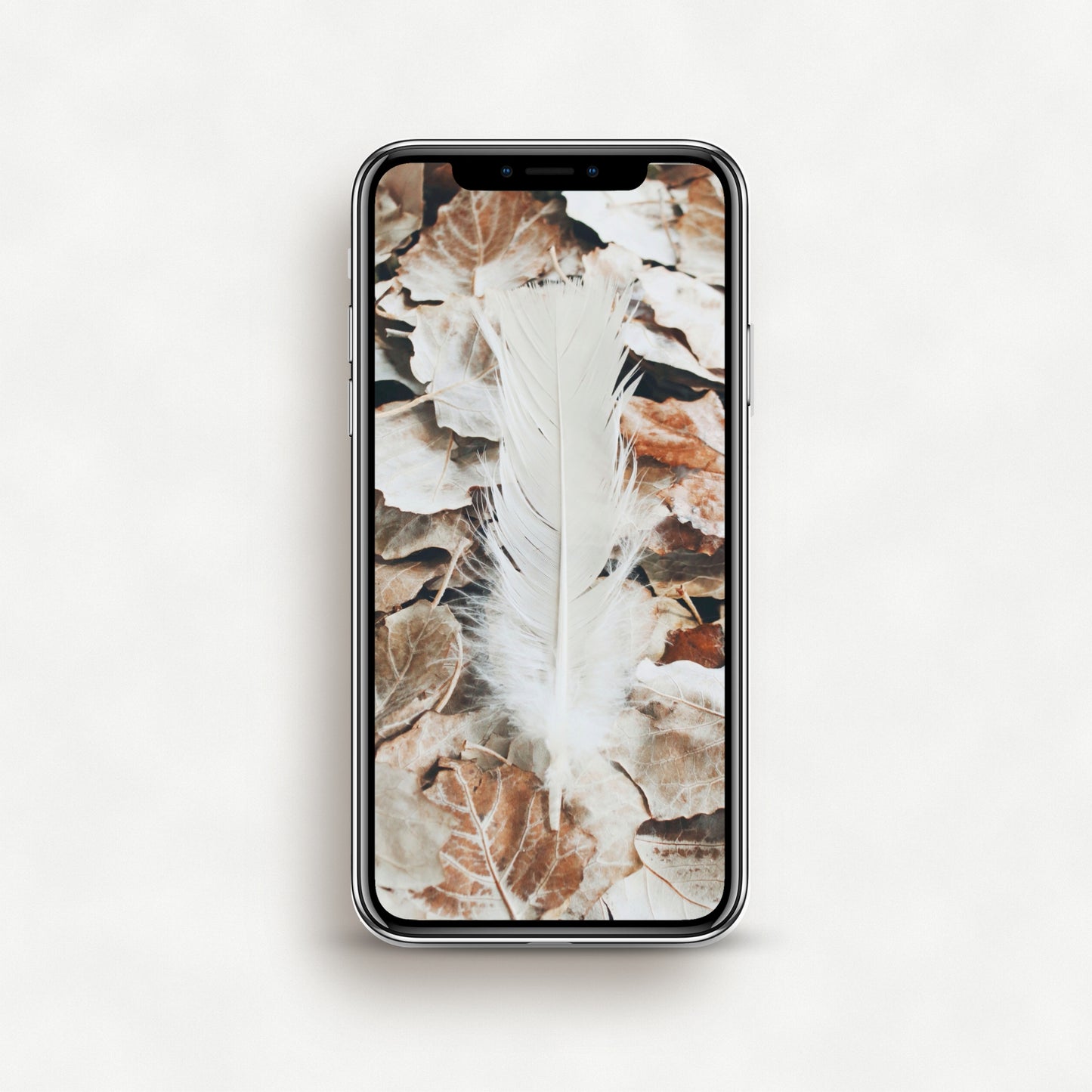 #1272P White Feather on Fallen Leaves - Phone Wallpaper, iPhone Wallpaper, Android Wallpaper, Lock Screen Wallpaper