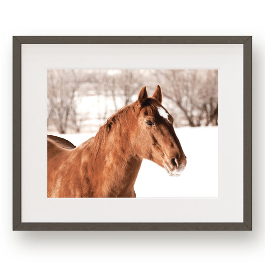 #1294 Chestnut Colored Horse in Winter, Printable Art, Digital Download, Gallery Wall Art