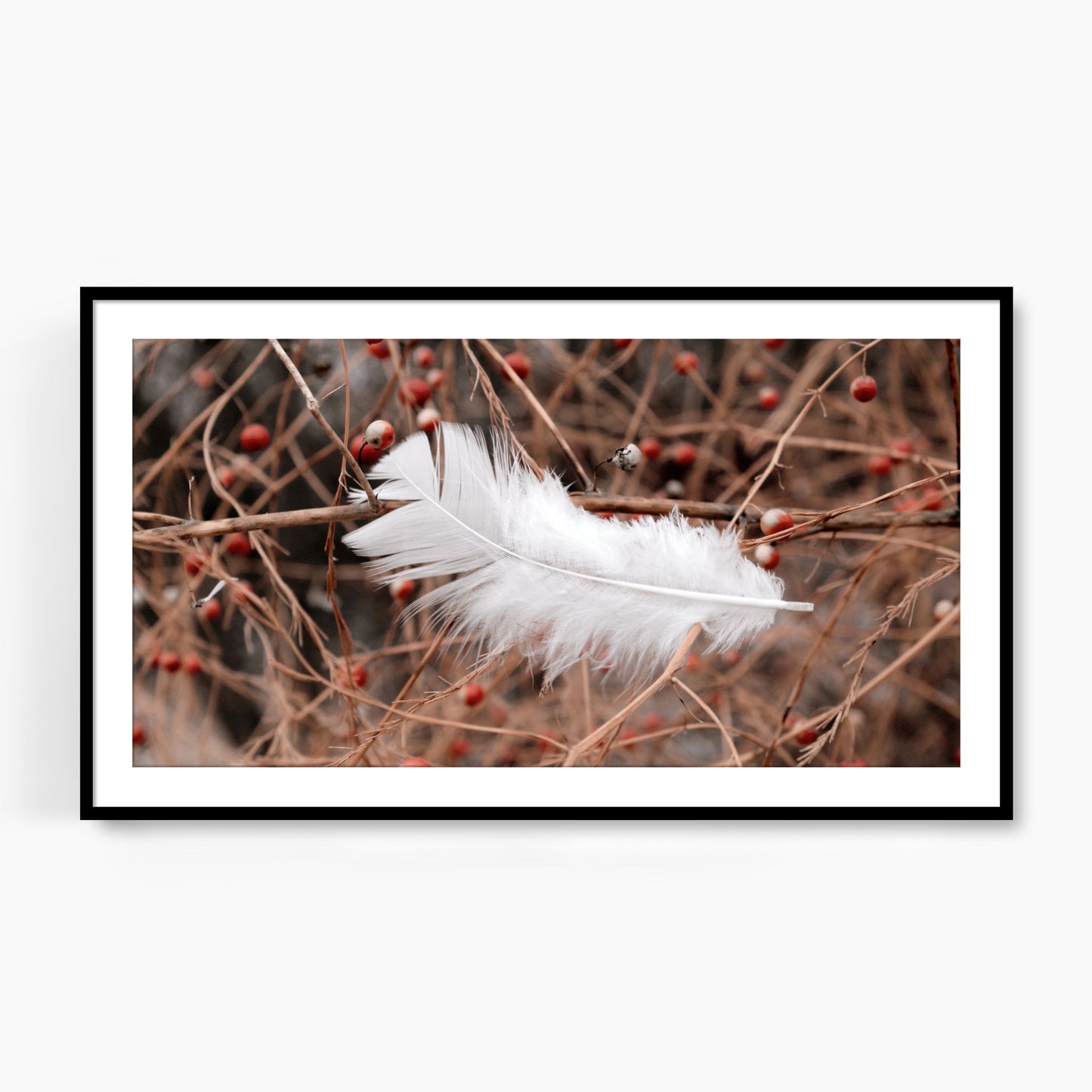 #1296F White Feather in Red Asparagus Berries, Samsung Frame TV Art, Digital Wallpaper, Digital Download