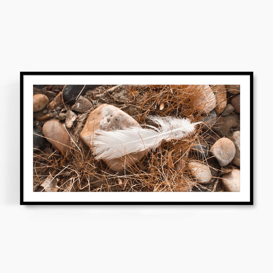 #1317F White Feather in River Rocks, Samsung Frame TV Art, Digital Wallpaper, Digital Download