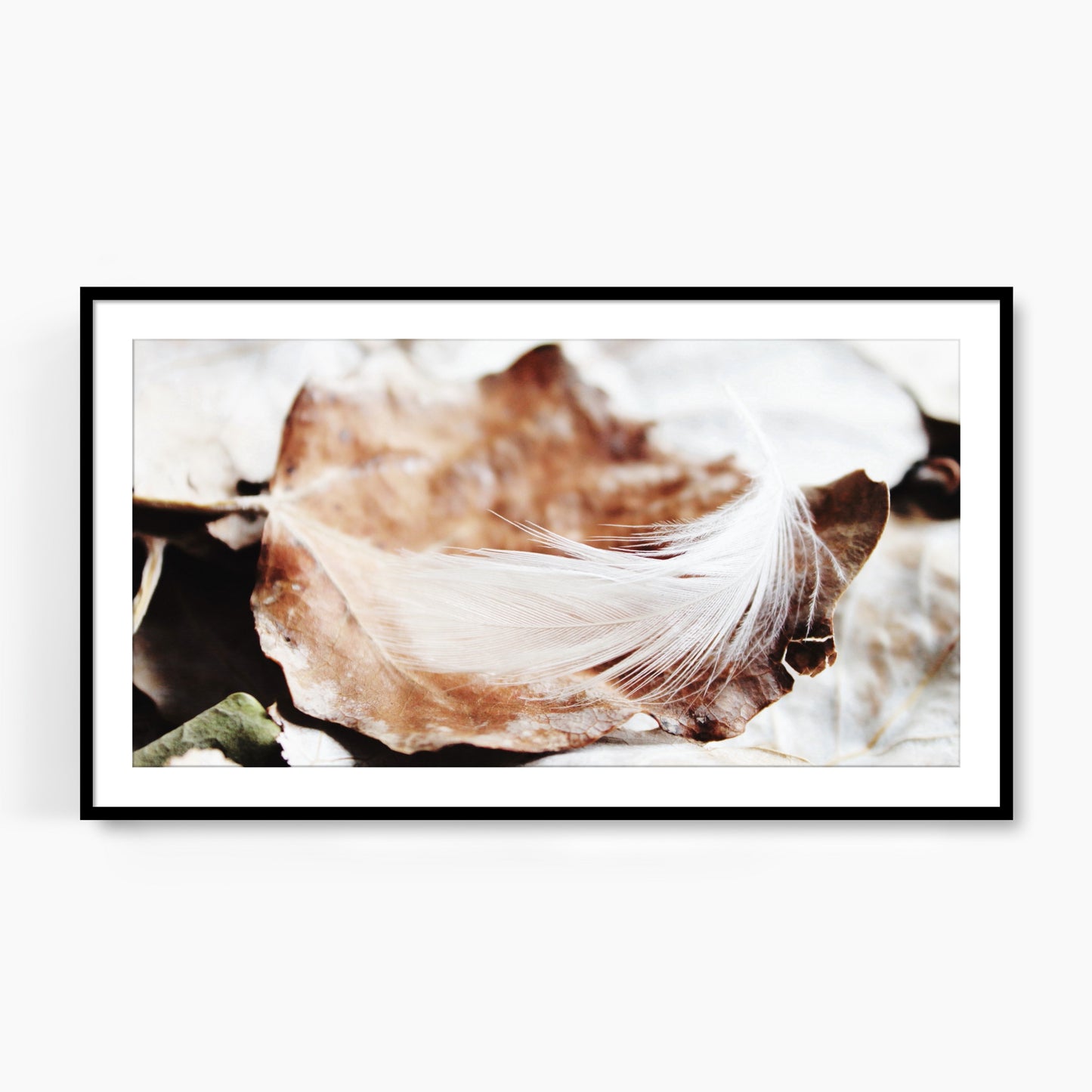 #1336F White Feather on Golden Fallen Leaves, Samsung Frame TV Art, Digital Wallpaper, Digital Download