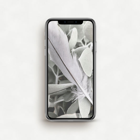 #1338P Gray Feather Against Green Succulent Leaves - Phone Wallpaper, iPhone Wallpaper, Android Wallpaper, Lock Screen Wallpaper