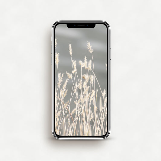 #1355P Sunbleached Grass Against a Blue Lake - Phone Wallpaper, iPhone Wallpaper, Android Wallpaper, Lock Screen Wallpaper