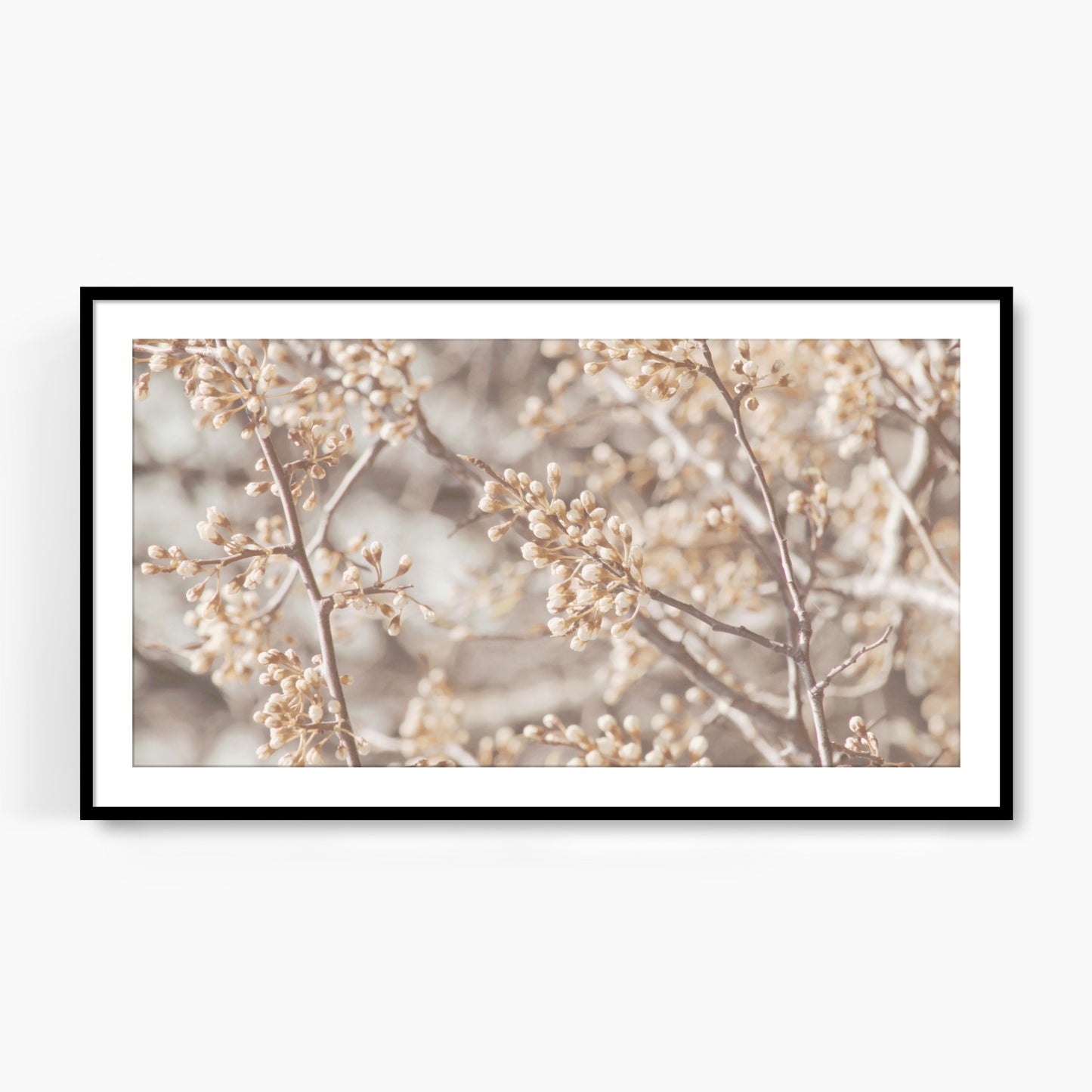 #1381F Spring Flower Buds, Samsung Frame TV Art, Digital Wallpaper, Digital Download