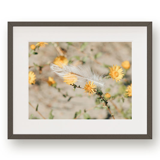 #1414 White Feather in Yellow Flowers, Printable Art, Digital Download, Gallery Wall Art