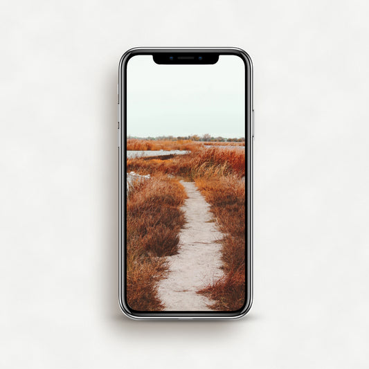 #1416P Sand Covered Pathway Along Lake  - Phone Wallpaper, iPhone Wallpaper, Android Wallpaper, Lock Screen Wallpaper