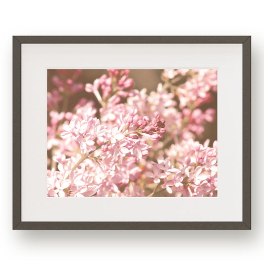 #1430 Pink Lilac, Printable Art, Digital Download, Gallery Wall Art