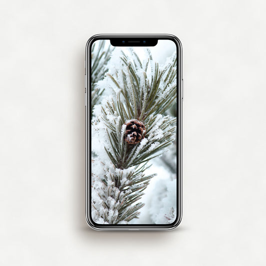 #1436P Snow Covered Pine Cone - Phone Wallpaper, iPhone Wallpaper, Android Wallpaper, Lock Screen Wallpaper