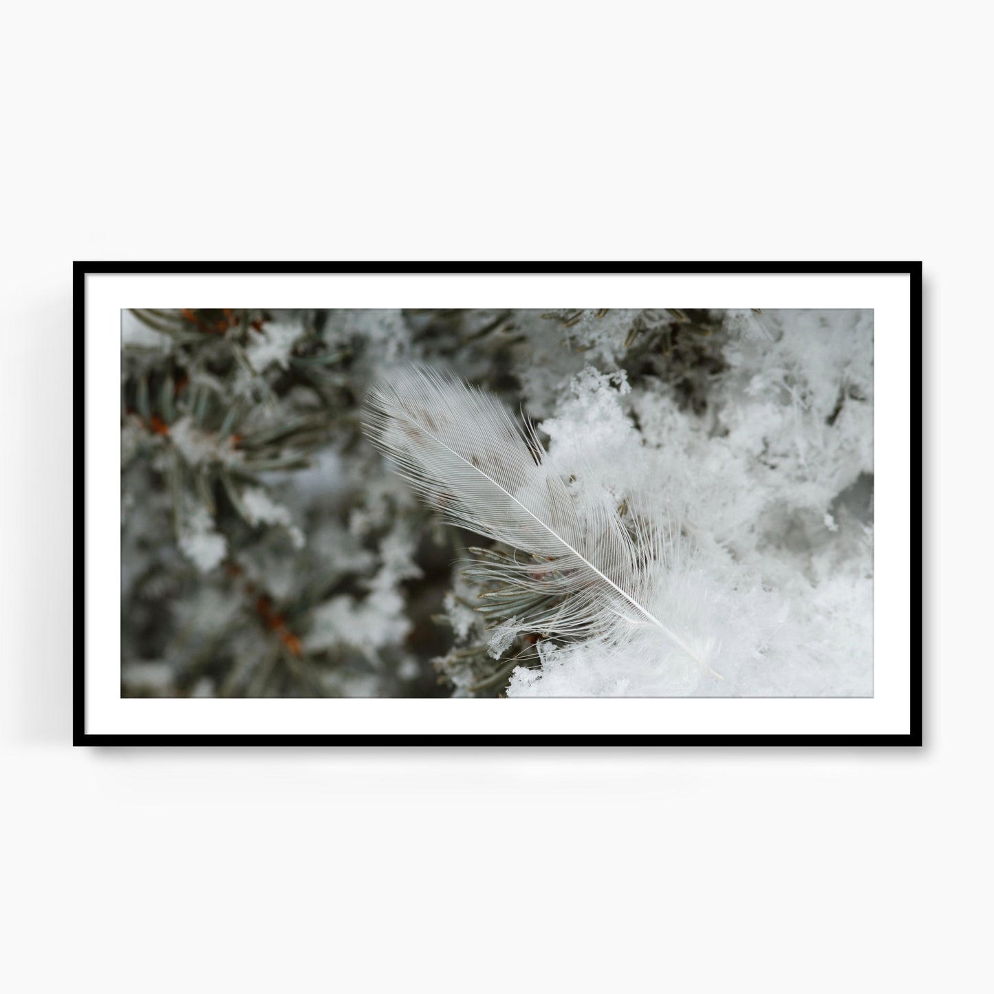 #1441F White Feather in Snow, Samsung Frame TV Art, Digital Wallpaper, Digital Download