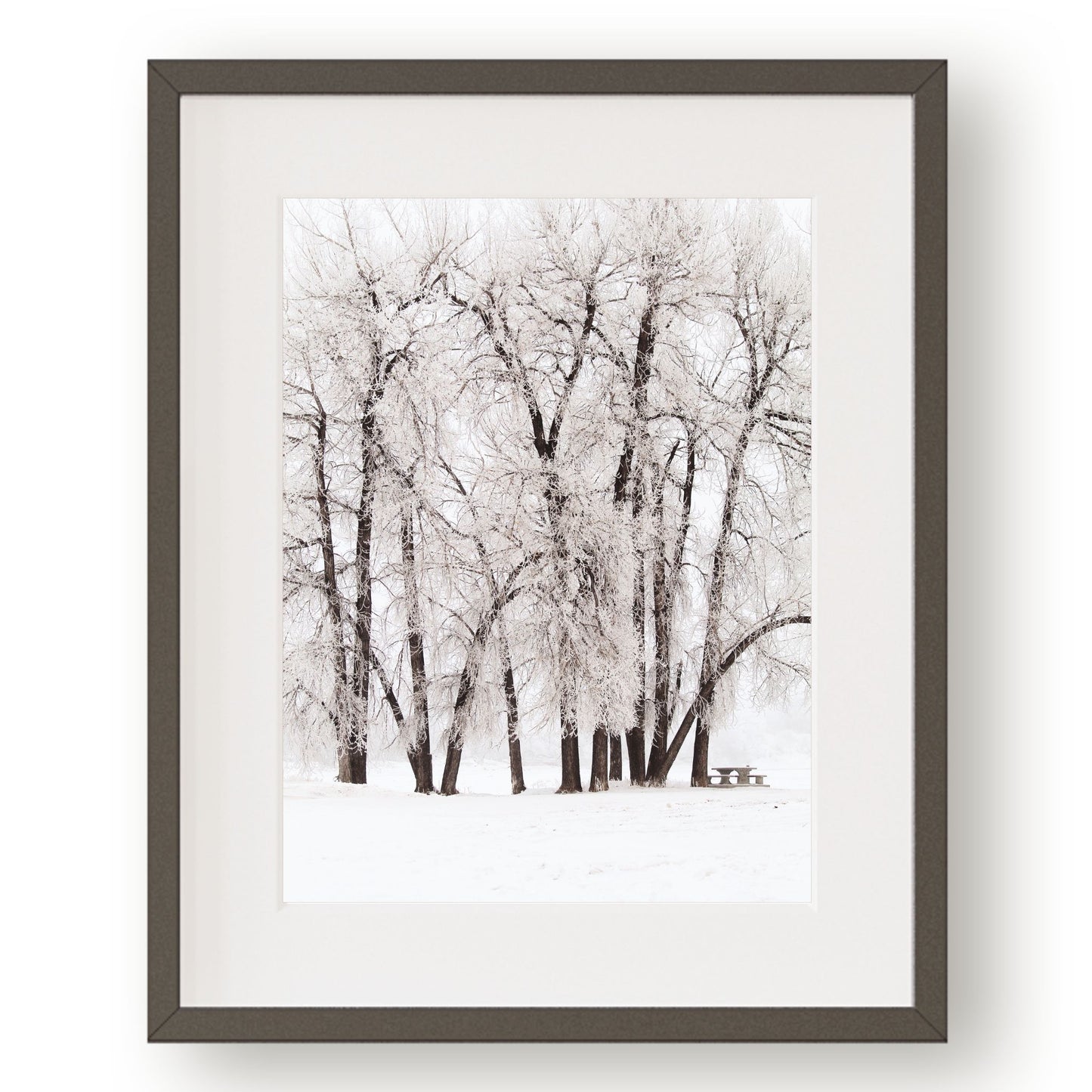 #1444 Frost Covered Trees in Winter, Printable Art, Digital Download, Gallery Wall Art