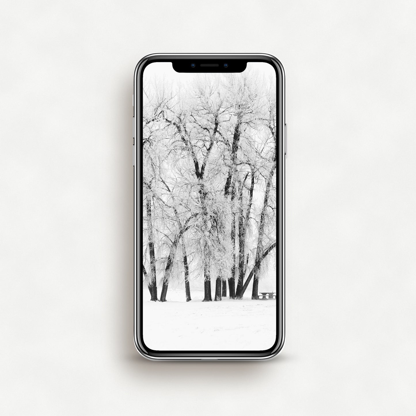 #1444P Frost Covered Trees in Winter - Phone Wallpaper, iPhone Wallpaper, Android Wallpaper, Lock Screen Wallpaper