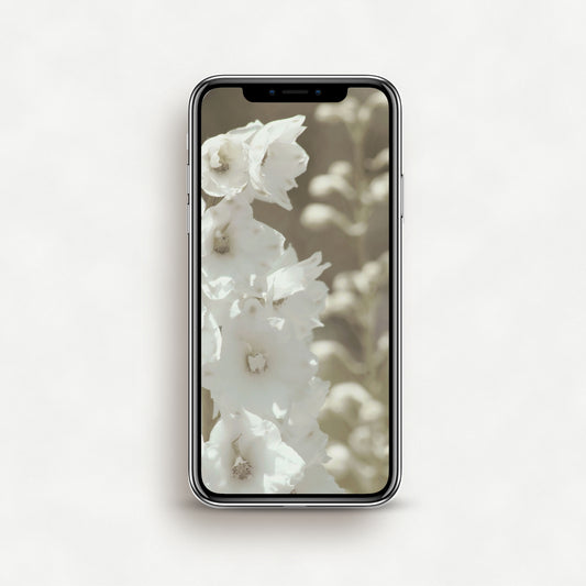 #1449P White Flowers - Phone Wallpaper, iPhone Wallpaper, Android Wallpaper, Lock Screen Wallpaper