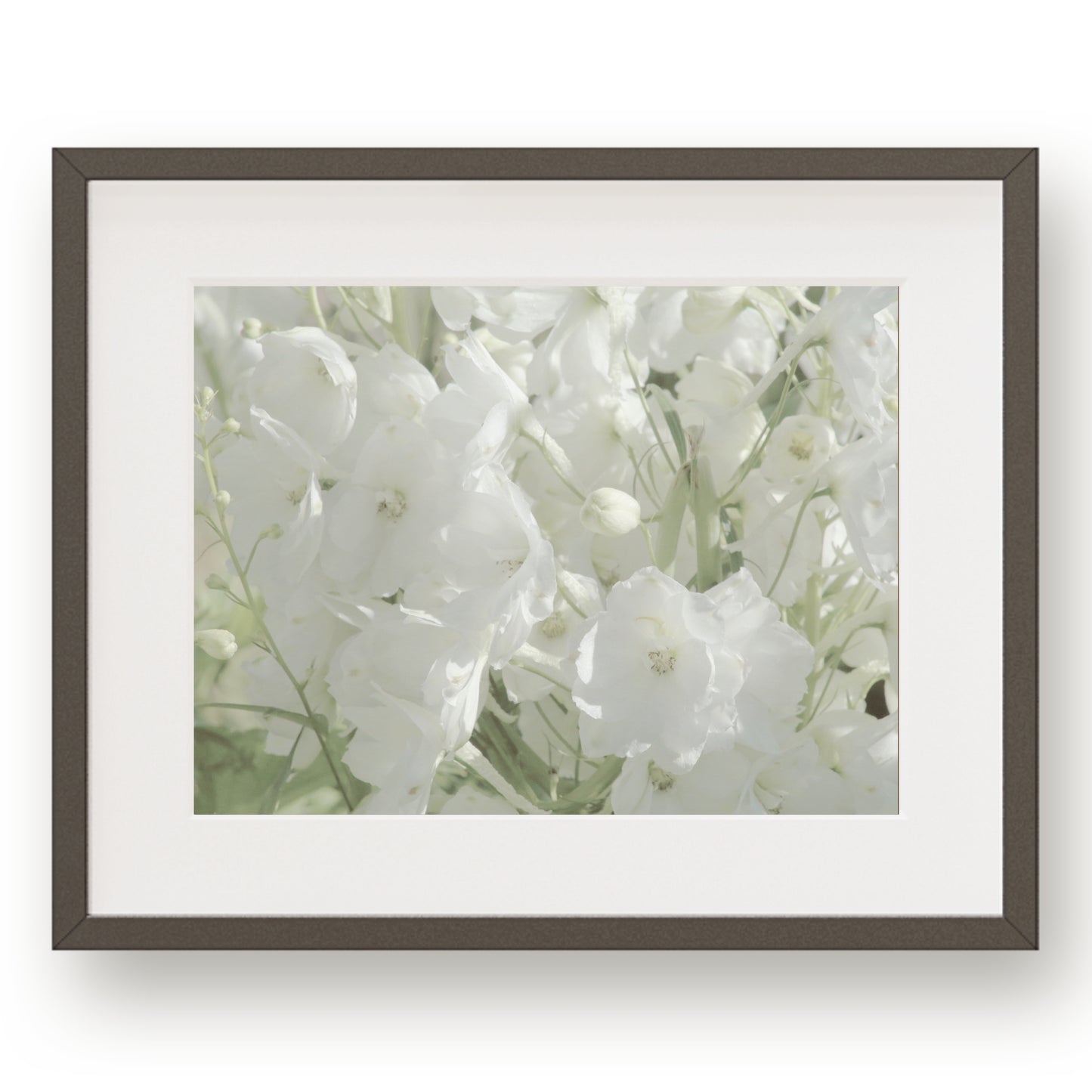 #1500 White Flowers, Printable Art, Digital Download, Gallery Wall Art