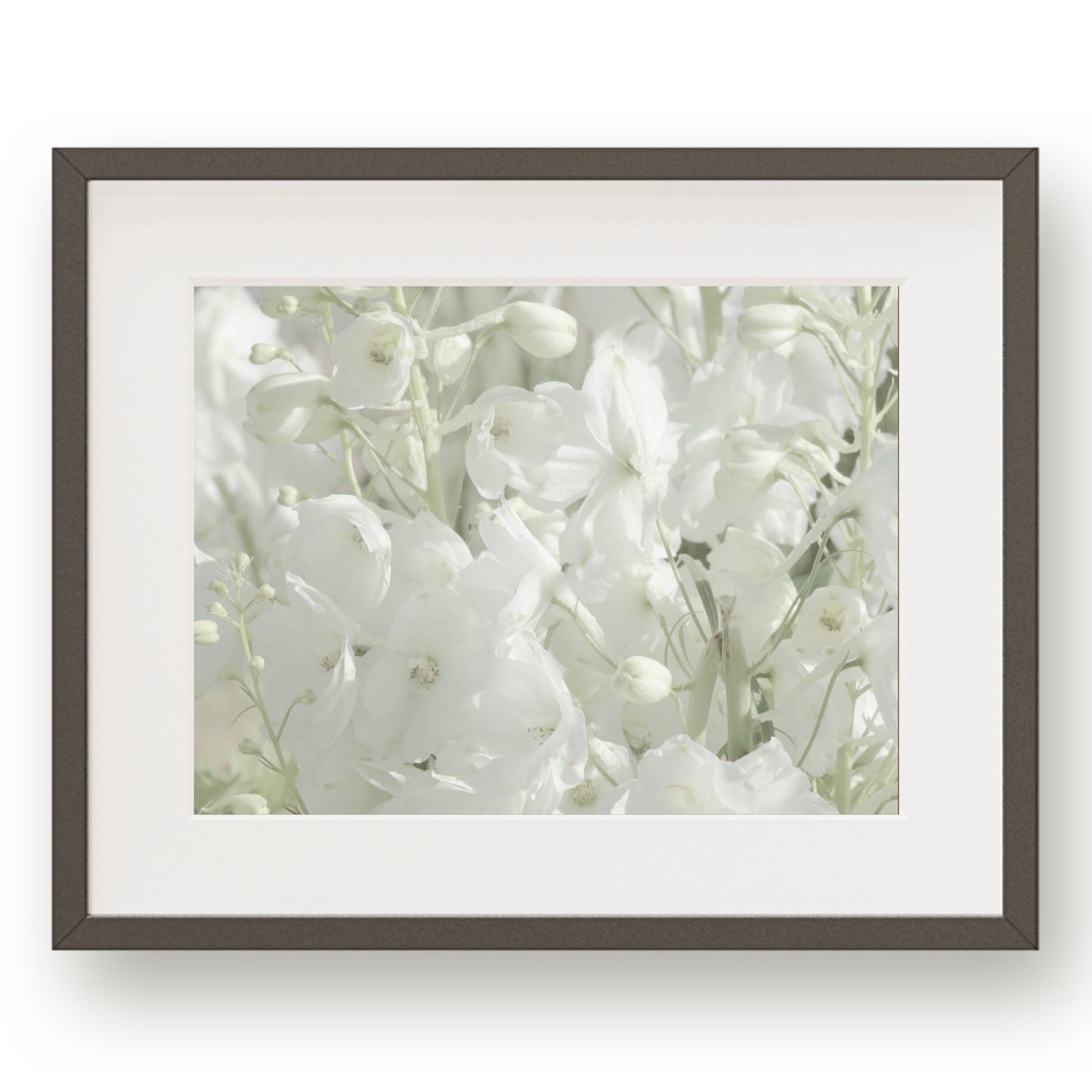 #1501 White Flowers, Printable Art, Digital Download, Gallery Wall Art