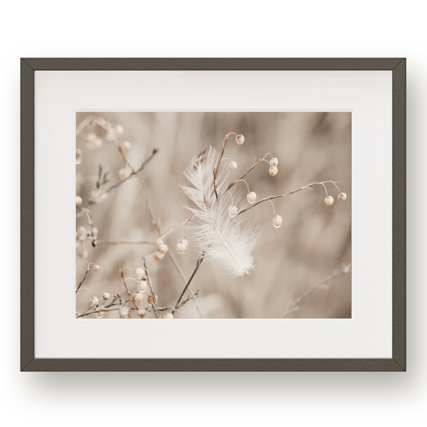 #1503 White Feather in Meadow Flax, Printable Art, Digital Download, Gallery Wall Art